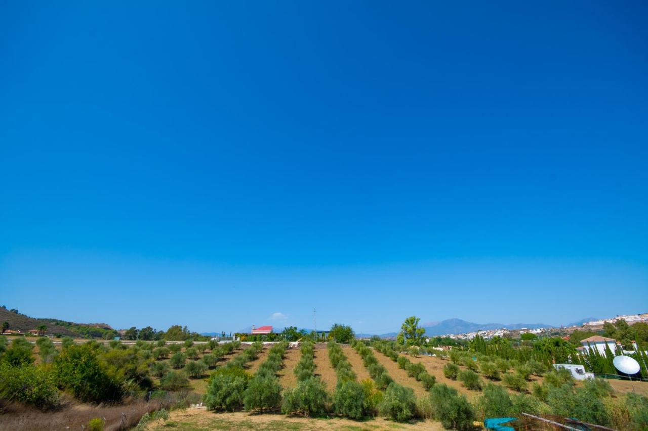 Cubo'S Finca Mis Seis Soles Coín 外观 照片